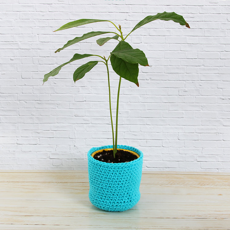 Crocheted Flower Pot Cozy