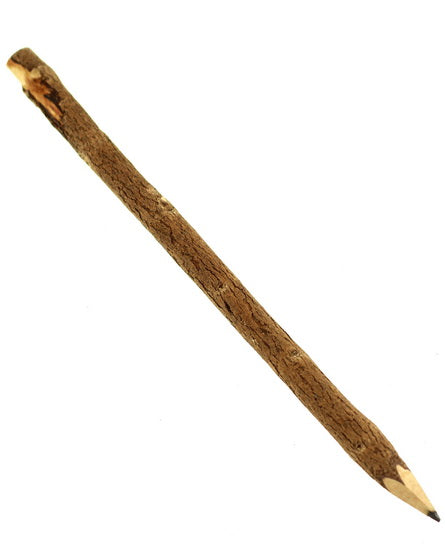 Crayon à mine branche