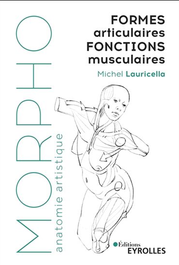 Formes articulaires, fonctions musculaires