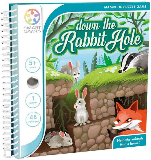Down the rabbit hole magnetic game