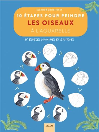 10 étapes pour peindre les oiseaux à l'aquarelle : 25 espèces communes et exotiques