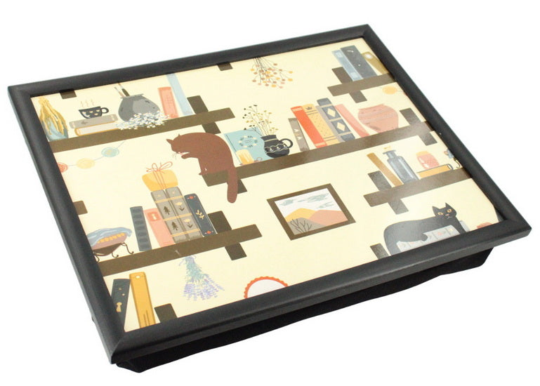 Coussin de lecture chat livres
