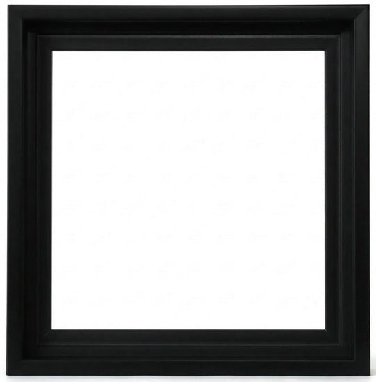 Floating Museum Frame Black - 16x16"