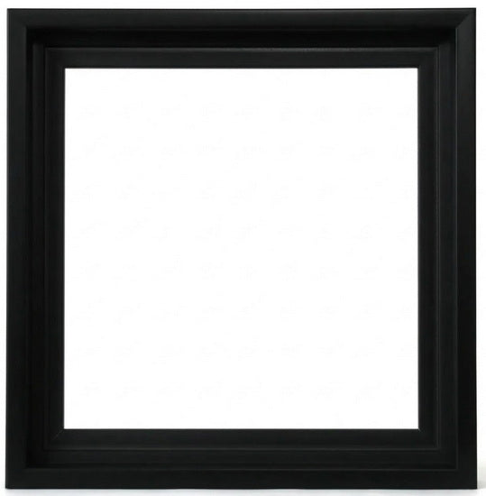 Floater Frame Gallery Black - 12x12"