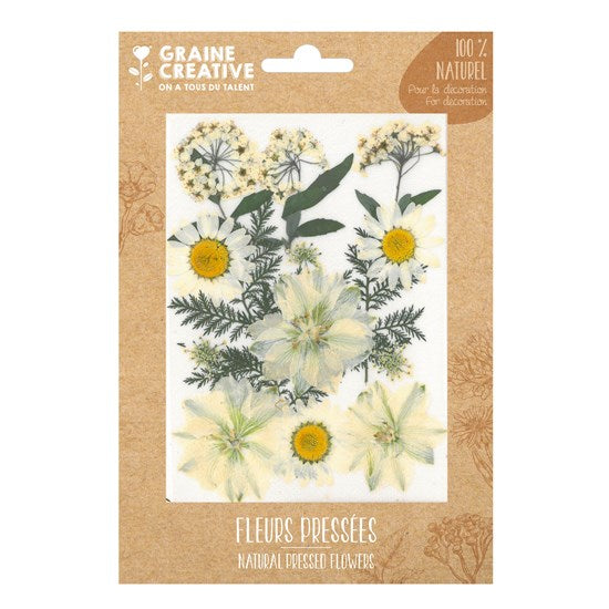 Natural Pressed Flowers - White Meadow, 15 Pieces