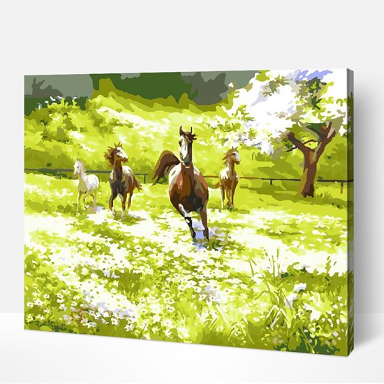 Peinture à numéros - « champ de chevaux »
