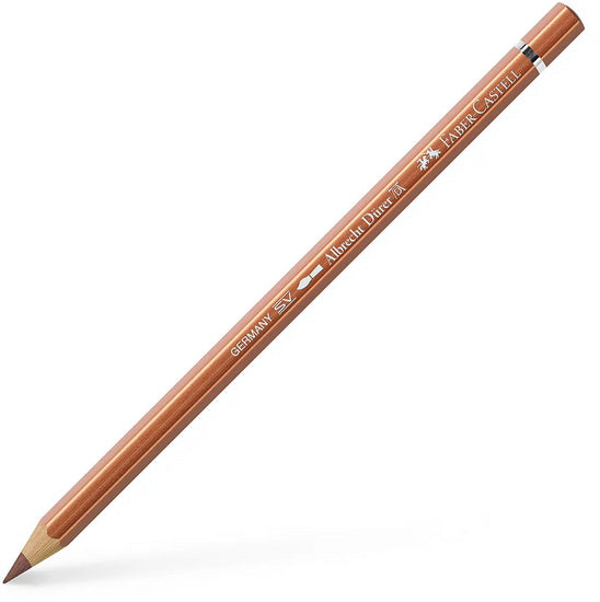 Albrecht dürer watercolour pencil copper