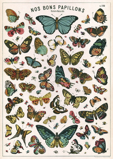 Affiche charte papillon - 20x28po