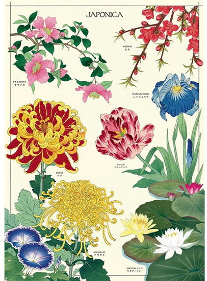 Affiche japonica - 20x28po