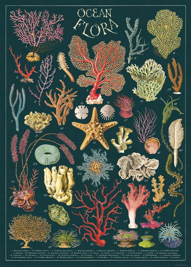 Affiche flore océanique - 20x28po