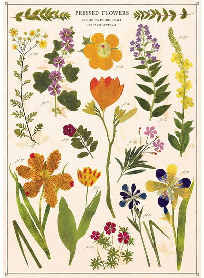 Affiche fleurs séchées - 20x28po