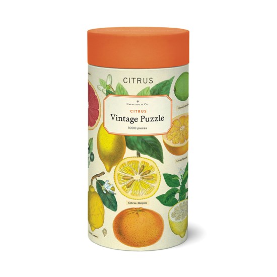 Lemon 1000 Pcs