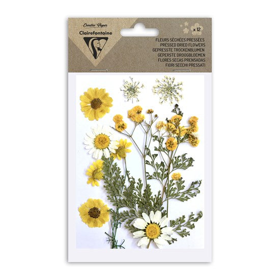 12-Pack Assorted Dried Flowers - Yellow