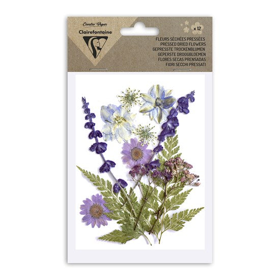 Ens. 12 fleurs séchées assorties - mauve