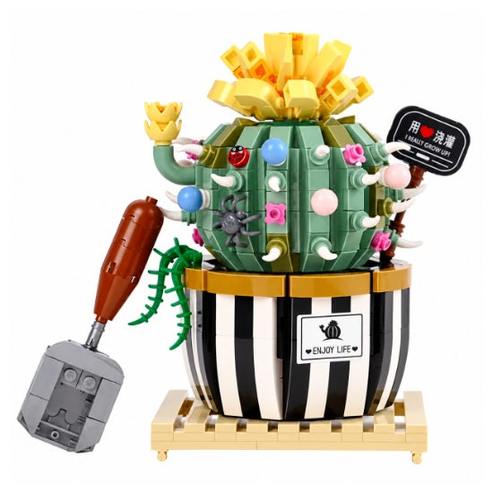 Cactus