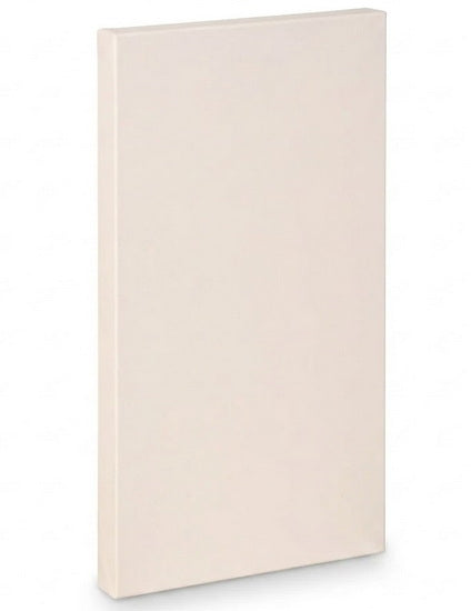Artist canvas gallery - 10x20"