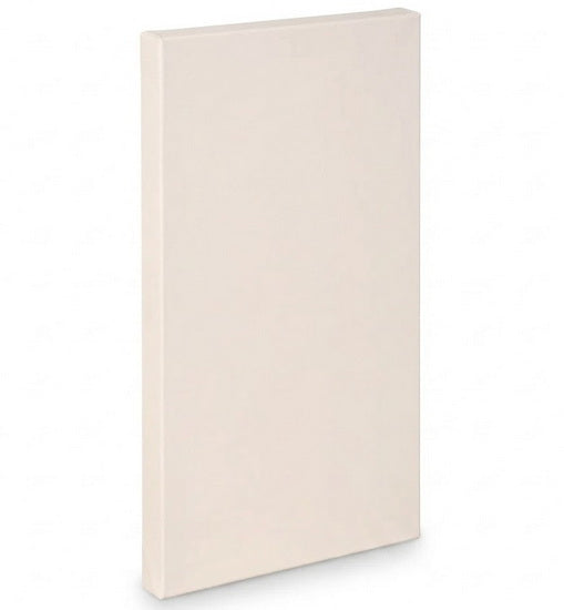 Artist canvas gallery - 16x30"