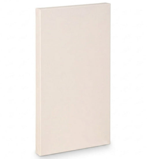 Artist canvas gallery - 20x40"