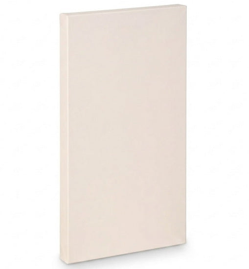 Toile artiste galerie - 24x48po