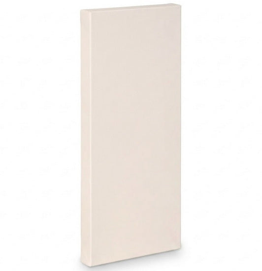 Artist canvas gallery - 24x60"