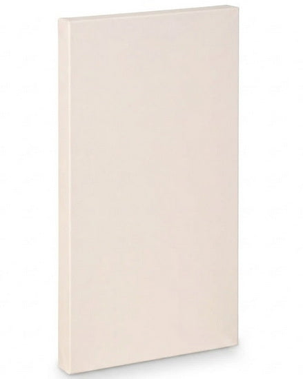 Artist canvas gallery - 30x60"