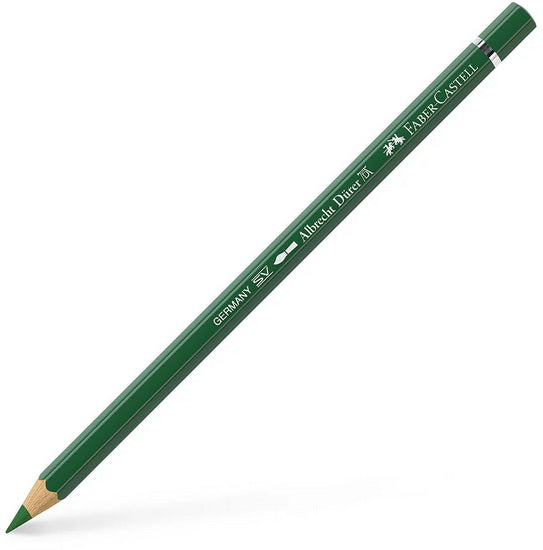 Albrecht dürer watercolour pencil olive green