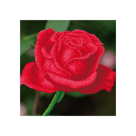 Ens. créatif Diamond Dotz : Bouton de rose