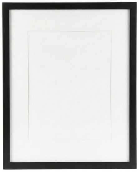 Museum Frame Black - 14x17" mat 11x14"