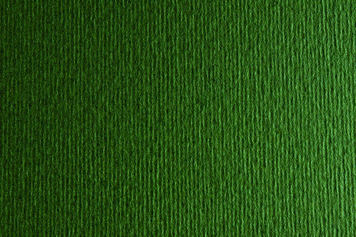 Carton bristol fabriano - vert foret inch - 20 x 28 pouces grampersquaremeter
