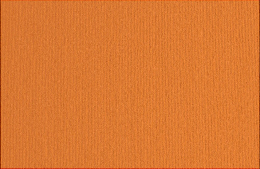 Fabriano Bristol Board - ORANGE INCH - 20 X 28 INCHES GRAMPERSQU