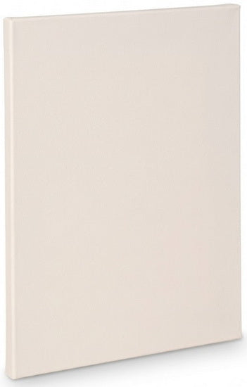 Artist canvas standard - 4x5"