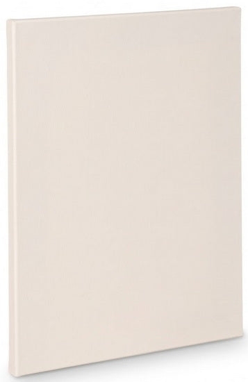 Artist canvas standard - 24x40"