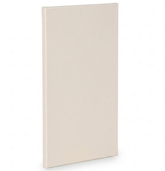Artist canvas standard - 30x60"