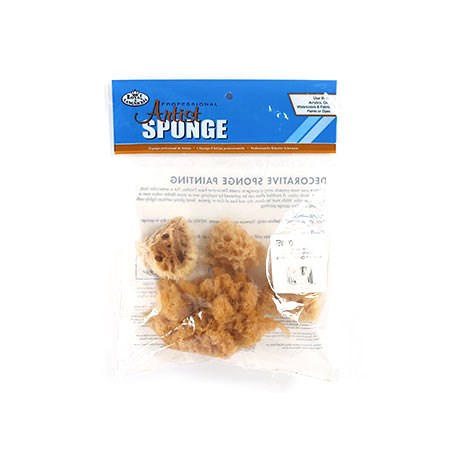 Set of 4 Wool Sponges