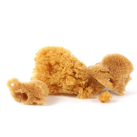 Set of 3 Silk Sponges