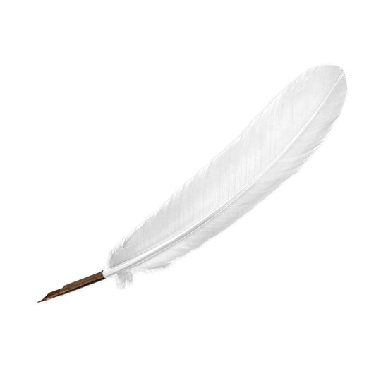 Quill Pen – Ivory