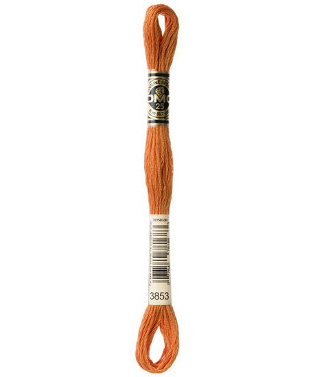 Embroidery floss - dark autumn gold - 3853