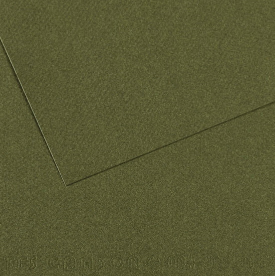 Papier couleur - 160gsm - mi-teintes - 50x60cm - lierre