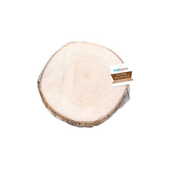 Tranche de bouleau - 18-20cm