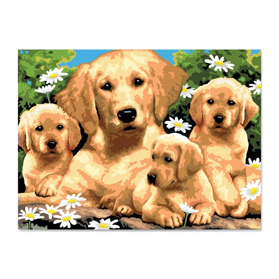 Peinture à numéros junior golden retrievers