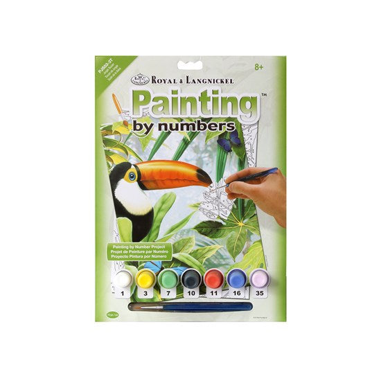Paint By Numbers Junior Toucan