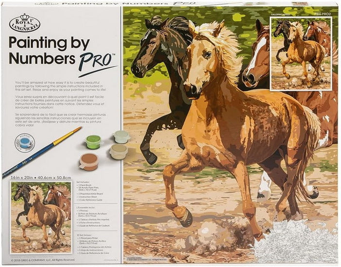 Paint By Number Galloping Horse