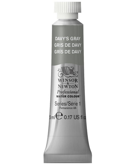 Professional watercolour - 5ml - davy's gray - s1