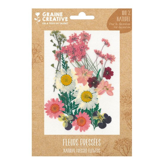 Natural Pressed Flowers - Pink Meadow, 16 Pieces