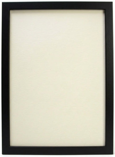 Floating picture frame 18x24 black