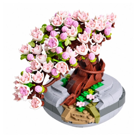 Le cerisier en pot