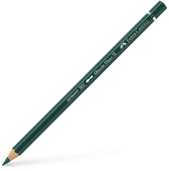 Albrecht dürer watercolour pencil pine green