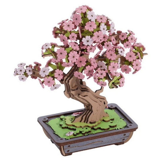 Bonsai Sakura