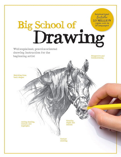 Big school of drawing
