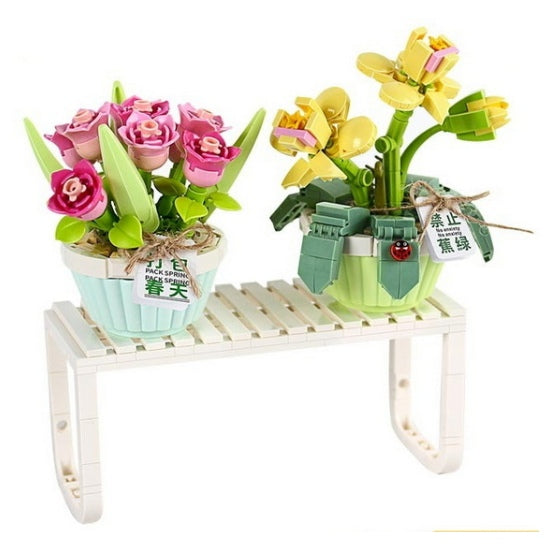 Tulipe et orchidée en pot